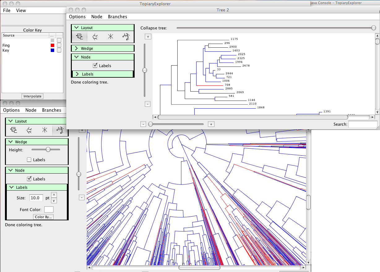 Screenshot of Topiary Explorer